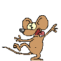Springmaus